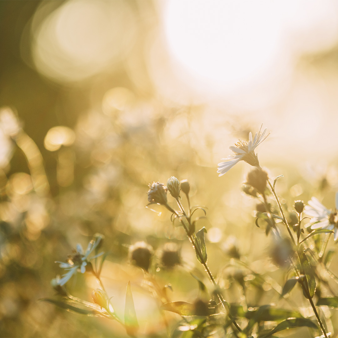 Primavera: protegir la pell del sol i prevenir el càncer de pell